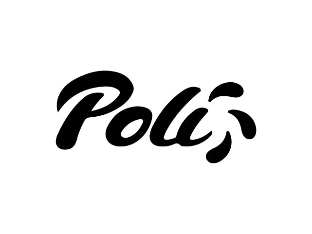 poly.jpg